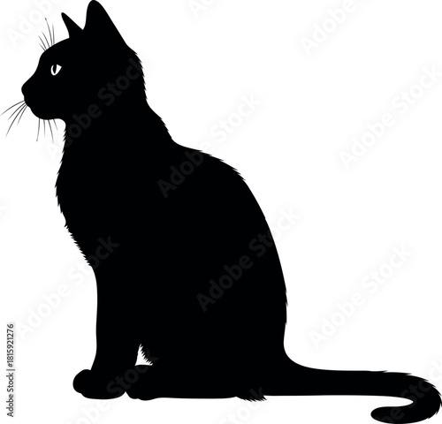 Black cat silhouette sitting gracefully, looking left, with prominent whiskers, isolated on
