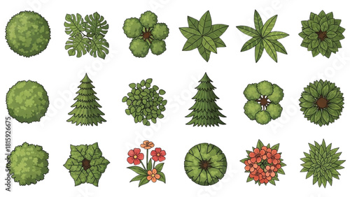 Top view collection of various trees, plants, and flowers for landscape design