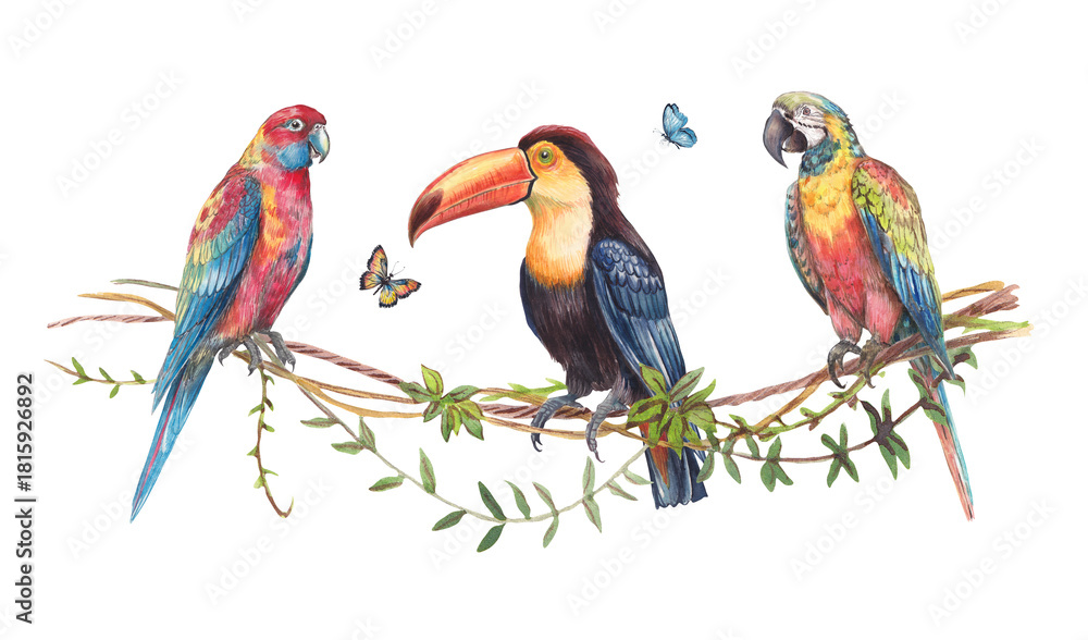 Obraz premium Watercolor illustration of three exotic birds — two parrots and a toucan — perched on tropical branches with butterflies. Colorful, detailed, hand-painted wildlife composition for prints and design