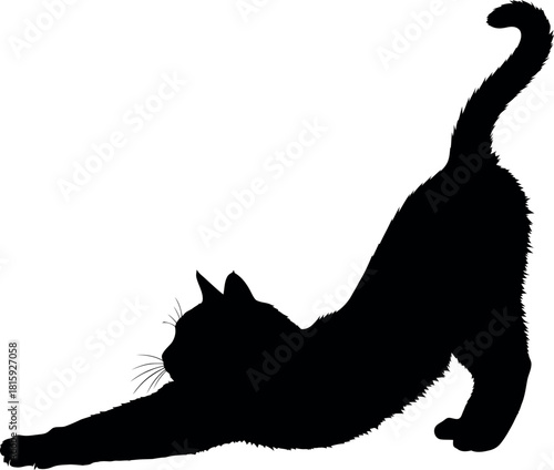 A sleek black cat silhouette is captured in a graceful stretching pose, isolated on a clean