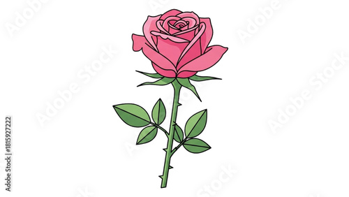 A single pink rose with green leaves and thorns on a white background