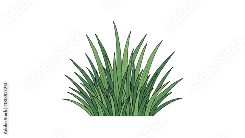 Vibrant green grass clump with detailed texture, perfect for nature-themed designs