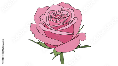 A beautiful pink rose illustration with green leaves and stem