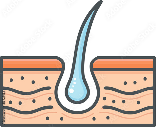 Bir insan derisi ve kıl kökü dokusu vektörü