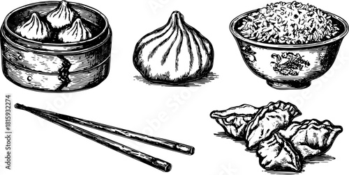 Dumpling and rice in a traditional style. Set includes chopsticks and serving bowl with detailed vector illustration.