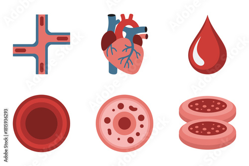 Circulatory system symbols, heart and vessels, blood drop, red blood cells and platelets, medicine education vector pack.