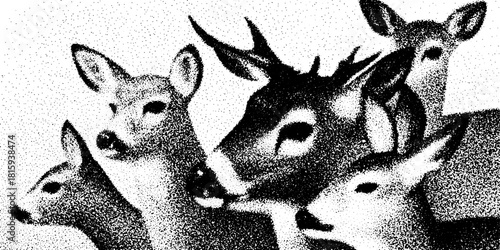 Deer wildlife illustration in vintage engraving style. Hand-drawn vector artwork showcasing a classic silhouette set.