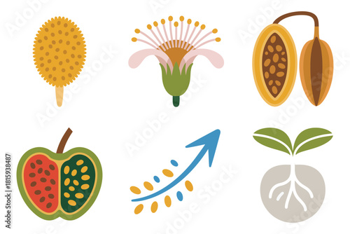 Botany agriculture icons, flower, seed pod, sprout, fruit, growth arrow, natural development flat illustration vector.