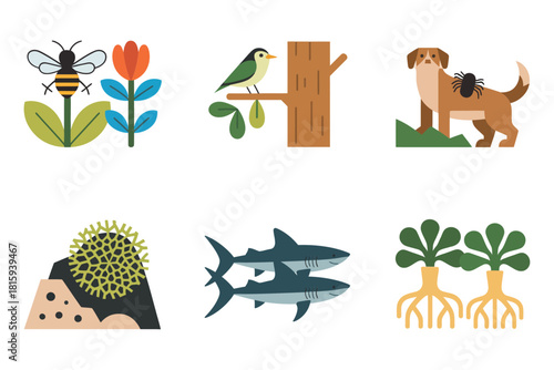 Simplified animal plant icons, shark, roots, hedgehog, dog, bird, bee, ecosystem education science vector.