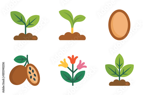 Plant science visuals, seed, sprout, flower, fruit, root system, molecular growth, full color botany diagram vector set.