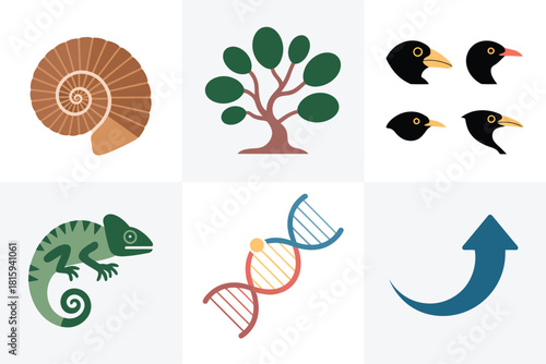 Zoology genetics symbols, fossil shell, chameleon, birds, DNA, evolutionary arrow, natural development process vector set.