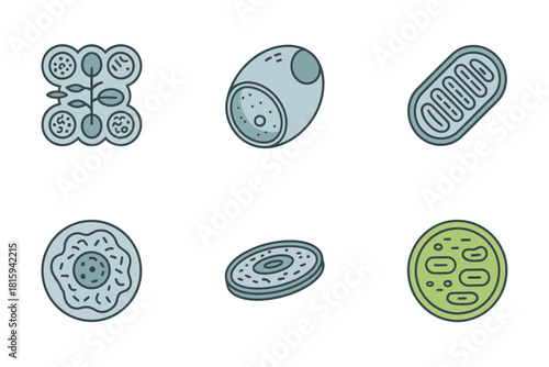 Cytology cell icons, detailed cell structure, mitochondria, nucleus, cell membrane, biological science flat illustration vector.