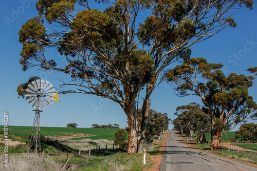 long straight road with windmill and trees