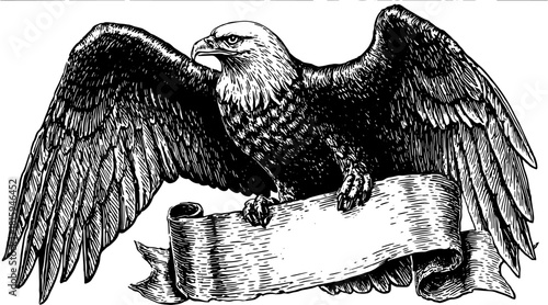 Eagle with wings spread perched on a scroll banner. Detailed black and white vector illustration in a vintage engraving style.