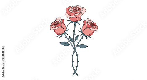 Beautiful illustration of three elegant pink roses with intertwined thorny stems isolated on a clean white background design.