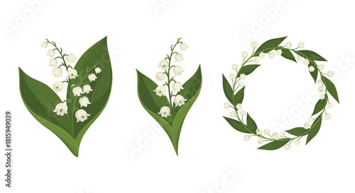 Elegant collection of beautiful lily of the valley flowers arranged as bouquets and a delicate floral wreath for design.