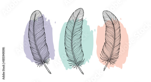 A set of three detailed bird feathers in a hand-drawn sketch style each with a unique soft pastel watercolor background splash.