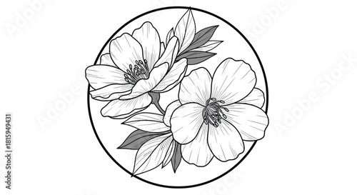 Elegant black and white line drawing of two blooming flowers with leaves, beautifully framed within a simple black circle.
