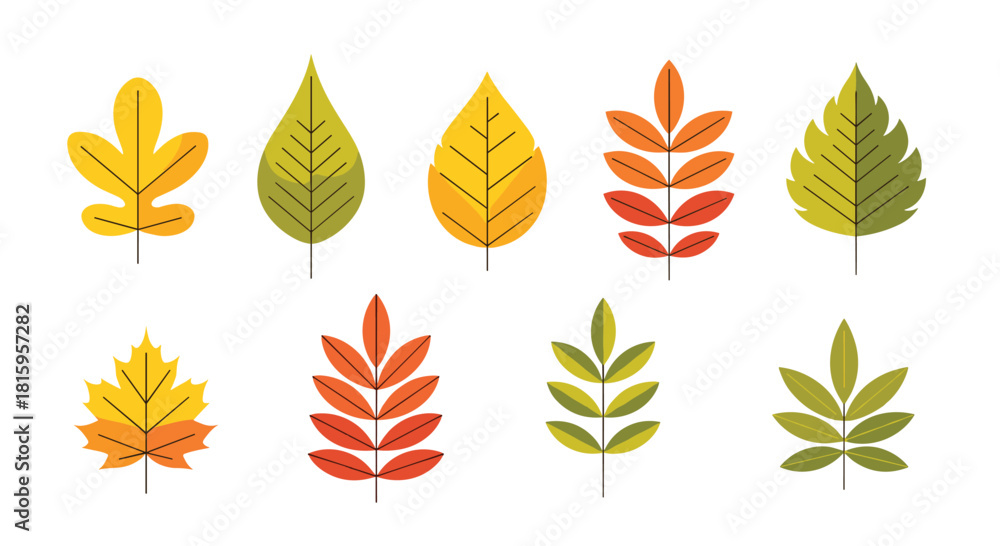 Fototapeta premium A set of eight colorful autumn leaves in a simple flat design style showcasing various leaf types like maple and rowan.
