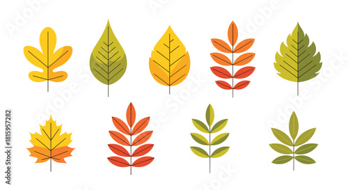 A set of eight colorful autumn leaves in a simple flat design style showcasing various leaf types like maple and rowan.