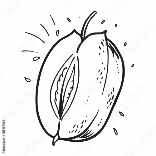 Half plum fruit with pit isolated on