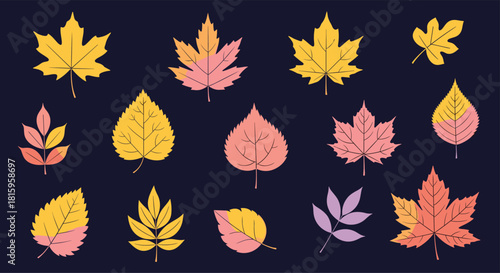 A collection of colorful autumn leaves of various tree species in a textured style isolated on a dark background for seasonal designs.