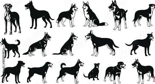 Dog breed silhouette collection, domestic pet vector, black canine illustration, puppy animal design, isolated hound background, pet artwork for decoration