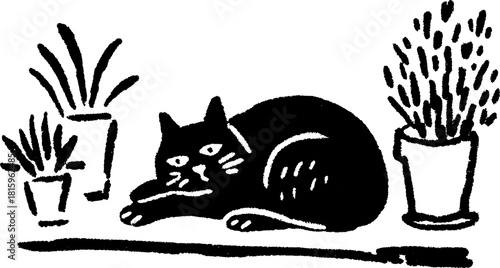 Black cat lying near potted plants in a hand-drawn vector illustration. Simple, minimal design captures a cozy home atmosphere.