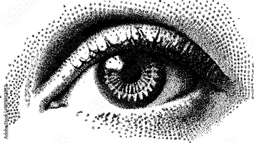 Eye illustration in black and white with a dot drawing style. A detailed vector artwork focusing on texture and contrast.