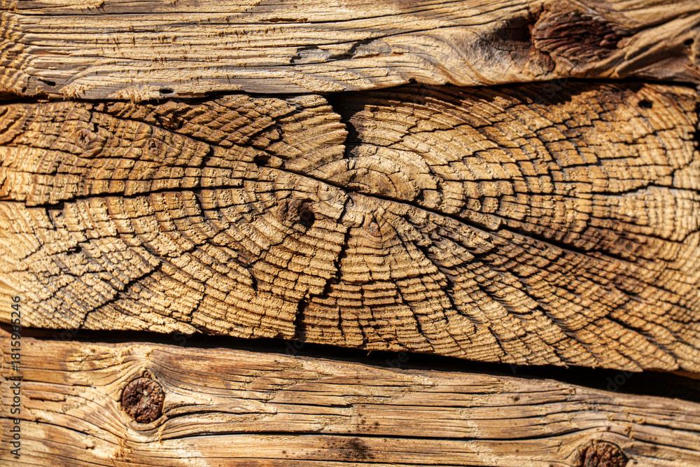 Naklejka premium Old wooden log end grain texture with cracks and rings