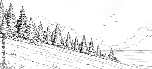 A serene black and white line art drawing of a coniferous forest on a hillside meeting the water's edge, a simple nature landscape