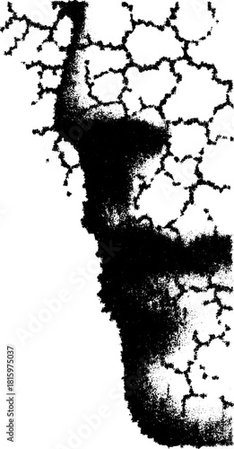 Abstract art with a unique black pattern. Monochrome vector illustration featuring fragmented shapes and textures in a modern design set.
