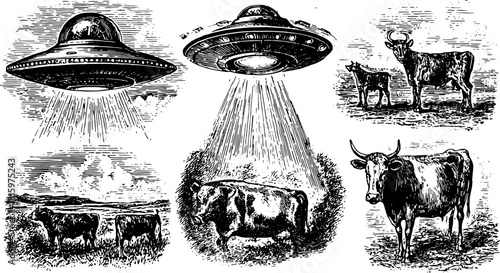 UFOs and cows in vintage engraving style. Black and white vector illustration featuring animals and unidentified flying objects.