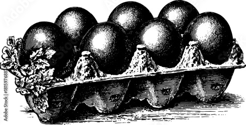 Eggs in a vintage engraving style. The illustration shows a carton of eggs with a hand-drawn outline. This vector is a traditional illustration.