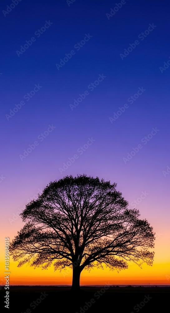 Naklejka premium Stunning sunset silhouette of a majestic tree against a vibrant sky