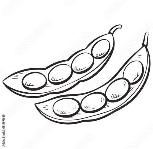Black and white line drawing of two open soybean pods
