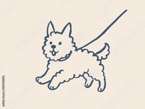 Curly terrier dog on leash simple sketch vector illustration