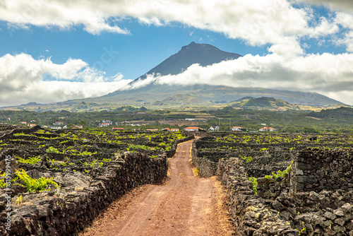 Traditional vineyards in front of Pico, Azores, Portugal