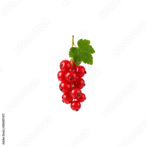 Isolated bunch of vibrant red currants with a single green leaf on a black background studio shot on transparent background