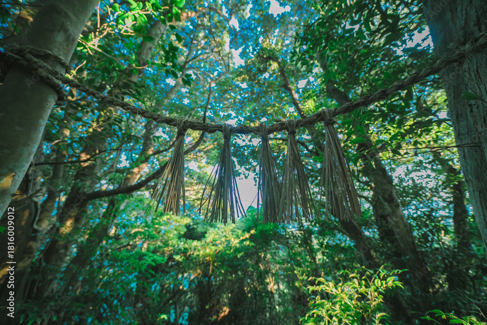 Naklejka premium 伊射波神社の美しい風景