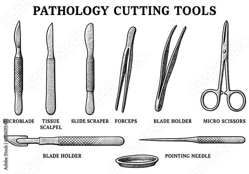 Pathology cutting tools: detailed sketches of scalpels, forceps, and scissors for medical use