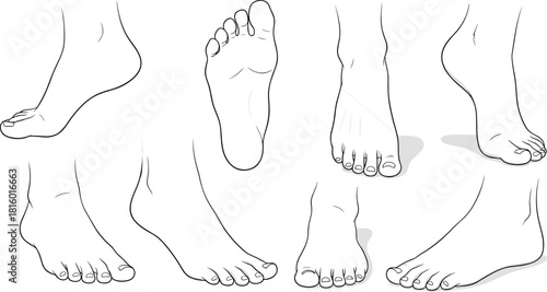 Human foot illustrations, anatomical views, medical drawing, vector outline, black and white, toe structure, side angles, artistic reference