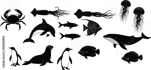 Marine animal silhouettes, creatures, aquatic icons, underwater life, fish, dolphin, whale, squid, crab, penguin, seal, jellyfish, seahorse, octopus, nature, biology, ecology, black icons, vector set