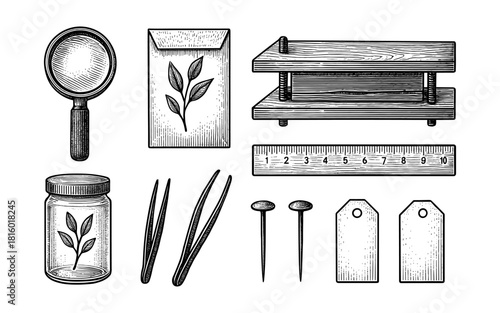 Vintage botanical pressing tools set with magnifying glass and wooden herb press