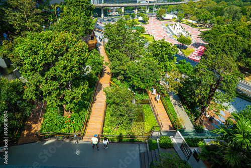 Photography Lumpini green tropical forest park sunny day view from Dusit central park shoppi