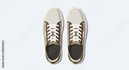 Overhead View of Stylish Casual Shoes with White Laces.