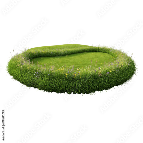 Circular grass patch with wildflowers