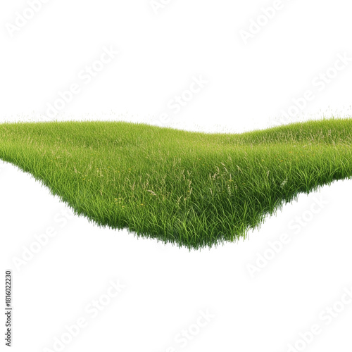 Lush green grass patch with transparent background