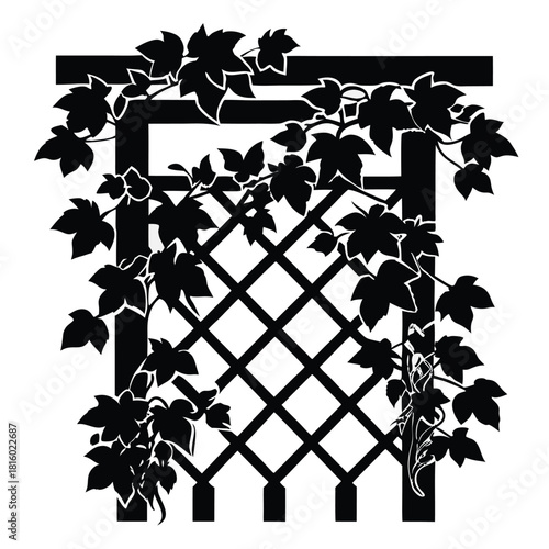 ivy growing on wooden trellis black and white silhouette
