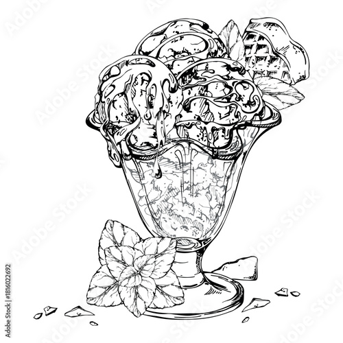 Ice cream sorbet gelato scoops in sundae glass bowl with waffle piece, cocoa syrup sprinkle, mint leaves. graphic illustration hand drawn in vector ink. Flavor card, summer branding, foodie flyer